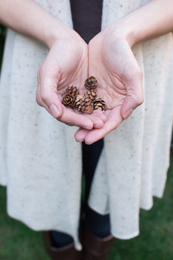 Tiny Pinecones