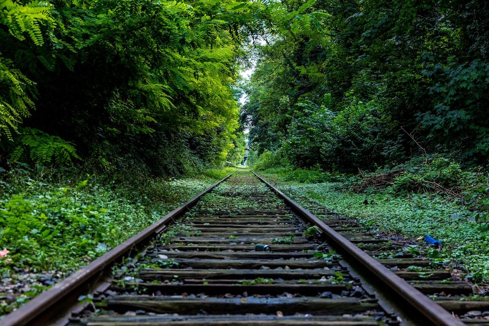 railroad tracks through woods