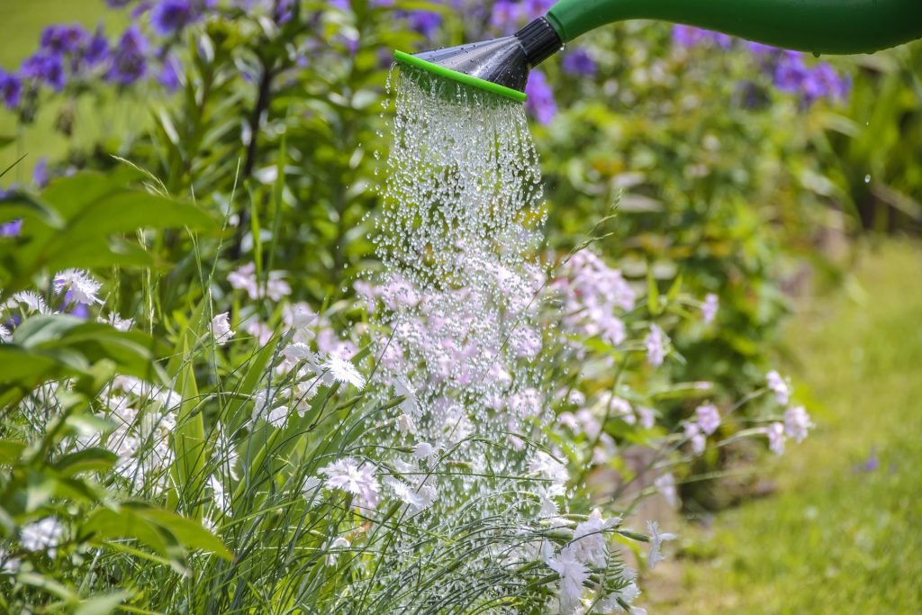 https://pixabay.com/en/watering-garden-work-the-sun-1438094/