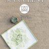 Modern Succulent