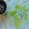 Modern Succulent - Image 4